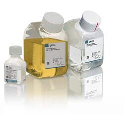 CTS™ LV-MAX™ Transfection Kit
