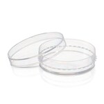 BioLite™ Cell Culture Treated Dishes