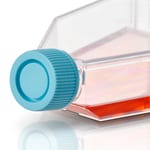 BioLite&trade; Cell Culture Treated Flasks