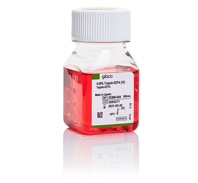 Trypsine-EDTA (0,05 %), rouge de phénol
