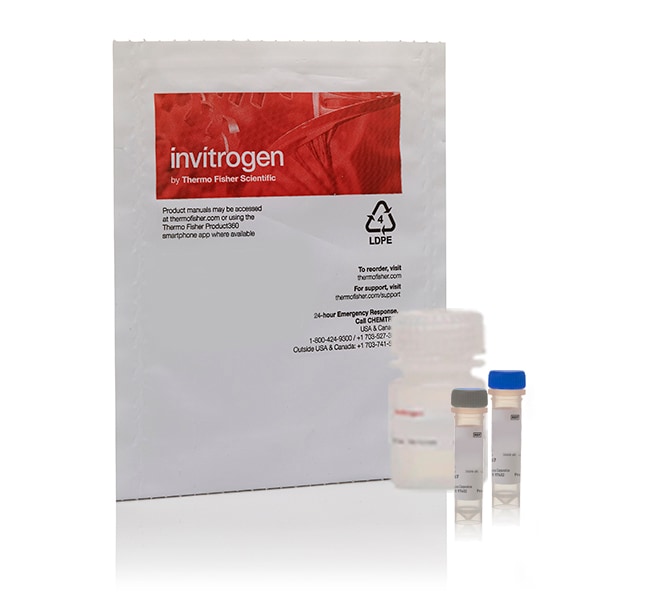 Measure-IT&trade; Thiol Assay Kit