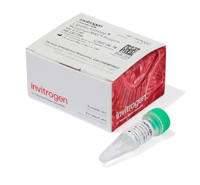 Lipofectamine&trade; MessengerMAX&trade; Transfection Reagent