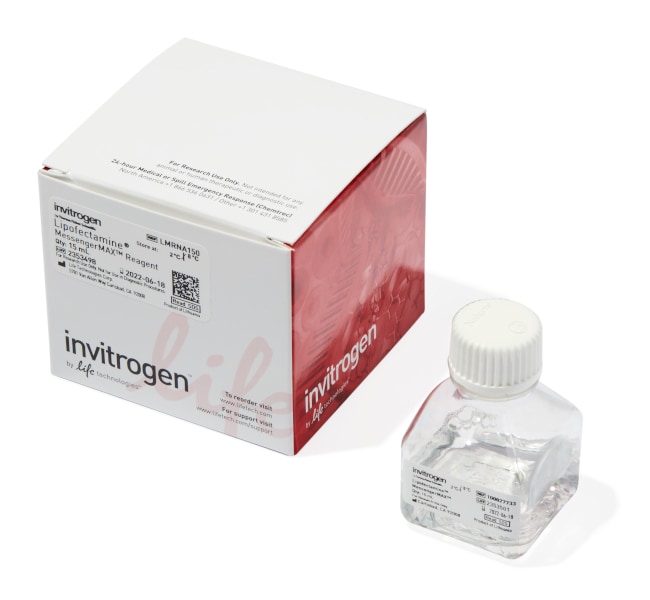 Lipofectamine&trade; MessengerMAX&trade; Transfection Reagent