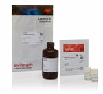 Qubit&trade; 1X dsDNA High Sensitivity (HS) and Broad Range (BR) Assay Kits