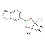 Benzimidazole-5-boronic acid pinacol ester, 95%, Thermo Scientific Chemicals