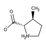 (2S,3S)-3-Methylpyrrolidine-2-carboxylic acid, 97%, Thermo Scientific Chemicals