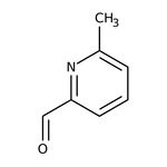 6-Methylpyridin-2-carboxaldehyd, 98 %, Thermo Scientific Chemicals