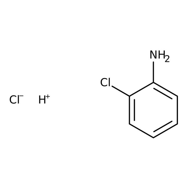 2-Chloroaniline hydrochloride, 97%, Thermo Scientific Chemicals