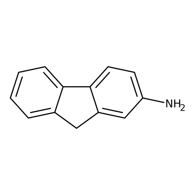 2-Aminofluorene, 98%, Thermo Scientific Chemicals