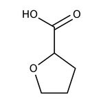 Tetrahydro-2-furoic acid, 98+%, Thermo Scientific Chemicals