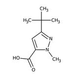 3-(tert-Butyl)-1-methyl-1H-pyrazole-carboxylic acid, 95%, Thermo Scientific Chemicals