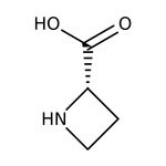 (S)-(-)-2-Azetidinecarboxylic acid, 99+%, Thermo Scientific Chemicals