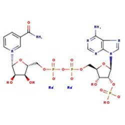 DNA fosfato