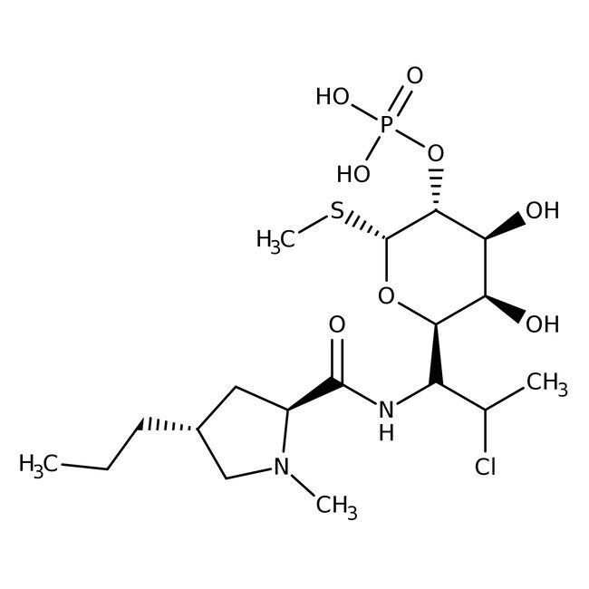 Clindamycin phosphate, Thermo Scientific Chemicals