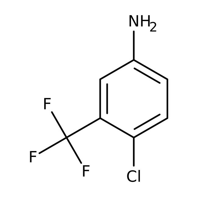 5-Amino-2-chlorobenzotrifluoride, 99%, Thermo Scientific Chemicals