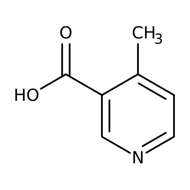 4-Methylpyridine-3-carboxylic acid, 97%, Thermo Scientific Chemicals