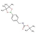 4-[(tert-Butoxycarbonylamino)methyl]phenylboronic acid pinacol ester, 97%, Thermo Scientific Chemicals