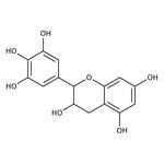 (-)-gallocatéchine, Thermo Scientific Chemicals