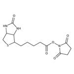 (+)-Biotin N-hydroxysuccinimide ester, 98%
