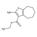 2-Amino-5,6,7,8-tetrahidro-4H-ciclohepta[b]tiofeno-3-carboxilato de etilo, 96 %, Thermo Scientific Chemicals
