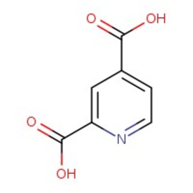 Acide 2,4-pyridinedicarboxylique hydraté, 99+ %, Thermo Scientific Chemicals