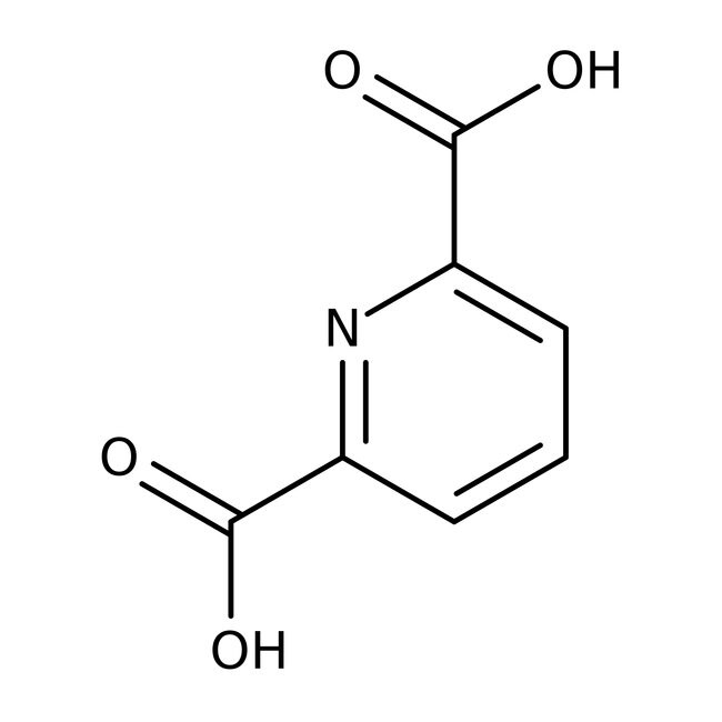 Acide pyridine-2,6-dicarboxylique, 98 %, Thermo Scientific Chemicals