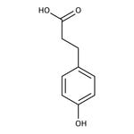 Ácido 3-(4-hidroxifenil)propiónico, 99 %, Thermo Scientific Chemicals