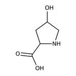 trans-4-Hydroxy-L-proline, 99+%, Thermo Scientific Chemicals