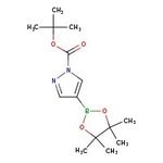4-(4,4,5,5-Tetramethyl-1,3,2-dioxaborolan-2-yl)-1H-pyrazole-1-carboxylic Acid Tert-Butyl Ester, 97%, Thermo Scientific Chemicals