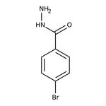 4-Bromobenzhydrazide, 98+%, Thermo Scientific Chemicals