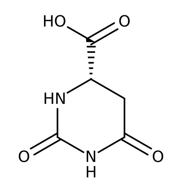 L-Dihydroorotic acid, 98%, Thermo Scientific Chemicals