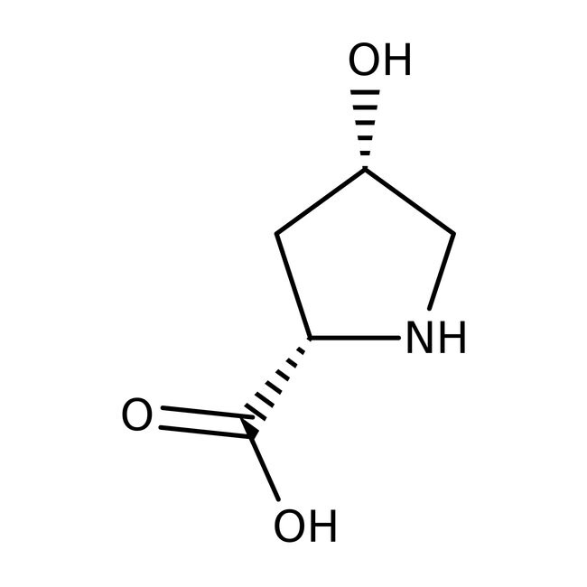 cis-4-Hydroxy-L-proline, 99%, Thermo Scientific Chemicals