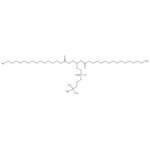 L-alfa-Dipalmitoil fosfatidilcolina, 98 %, Thermo Scientific Chemicals