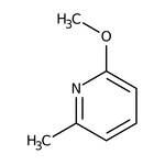 2-Methoxy-6-methylpyridine, 98%, Thermo Scientific Chemicals