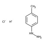 p-Tolylhydrazin Hydrochlorid, 98 %, Thermo Scientific Chemicals
