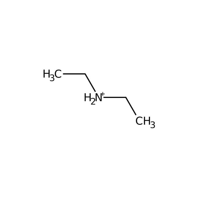 Diethylamine hydrochloride, 99%, Thermo Scientific Chemicals