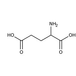 glutamic acid structure