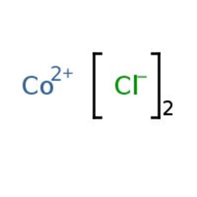 Kobalt(II)-chlorid, hellblaue Beads, 99.9 % (Metallbasis), Thermo Scientific Chemicals