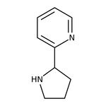 2-Pyrrolidin-2-ylpyridine, 95%, Thermo Scientific Chemicals