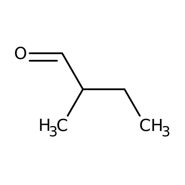 2-Methylbutyraldehyde, 95%, Thermo Scientific Chemicals
