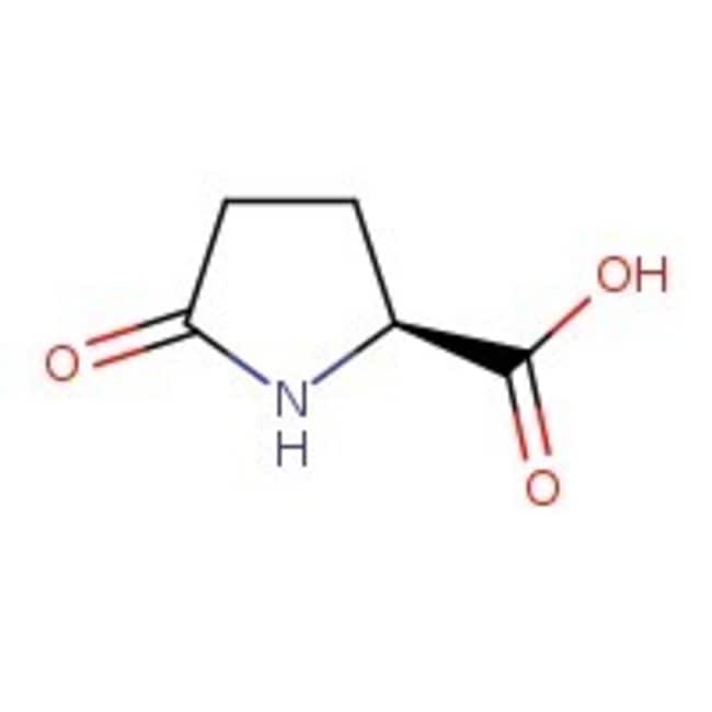 (S)-(-)-2-Pyrrolidone-5-carboxylic acid, 98%, Thermo Scientific Chemicals