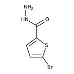 5-Bromothiophene-2-carboxylic acid hydrazide, 97%, Thermo Scientific Chemicals