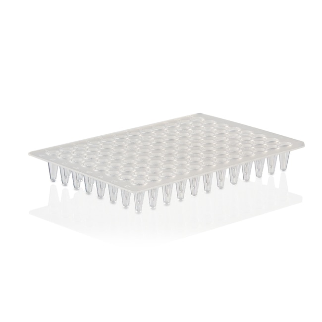 PCR Plate, 96-well, low profile, non-skirted