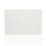 PCR Plate, 96-well, low profile, non-skirted