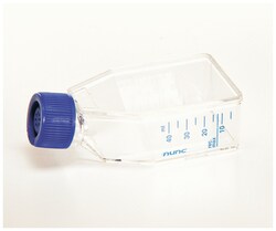 T-25 Culture Flask, Vented 50ml - Sterile (200/case)