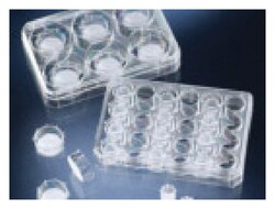 Nunc™ Polycarbonate Cell Culture Inserts in Multi-Well Plates