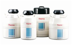 Thermo Scientific Thermo-Flask Benchtop Liquid Nitrogen Containers:Cold