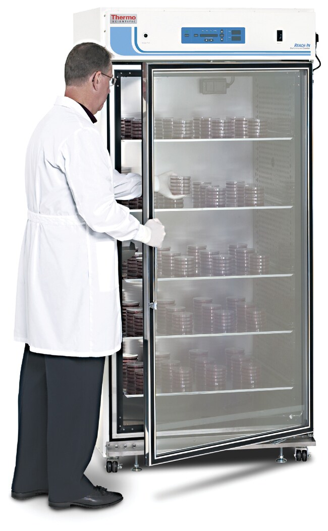Large-Capacity Reach-In CO<sub>2</sub> Incubator, 821 L, Polished Stainless Steel