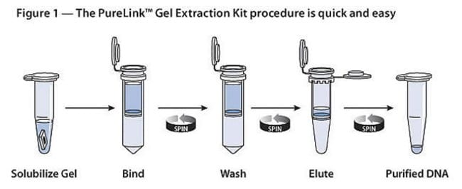 PureLink™ Quick Gel Extraction Kit
