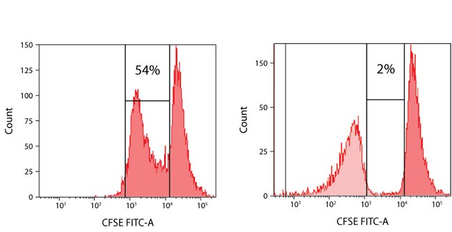 CellTrace™ CFSE Cell Proliferation Kit, for flow cytometry